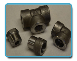 Carbon & Alloy Steel Forged fitting Carbon & Alloy Steel Forged fitting