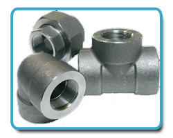 Inconel Forged fitting Inconel Forged fitting